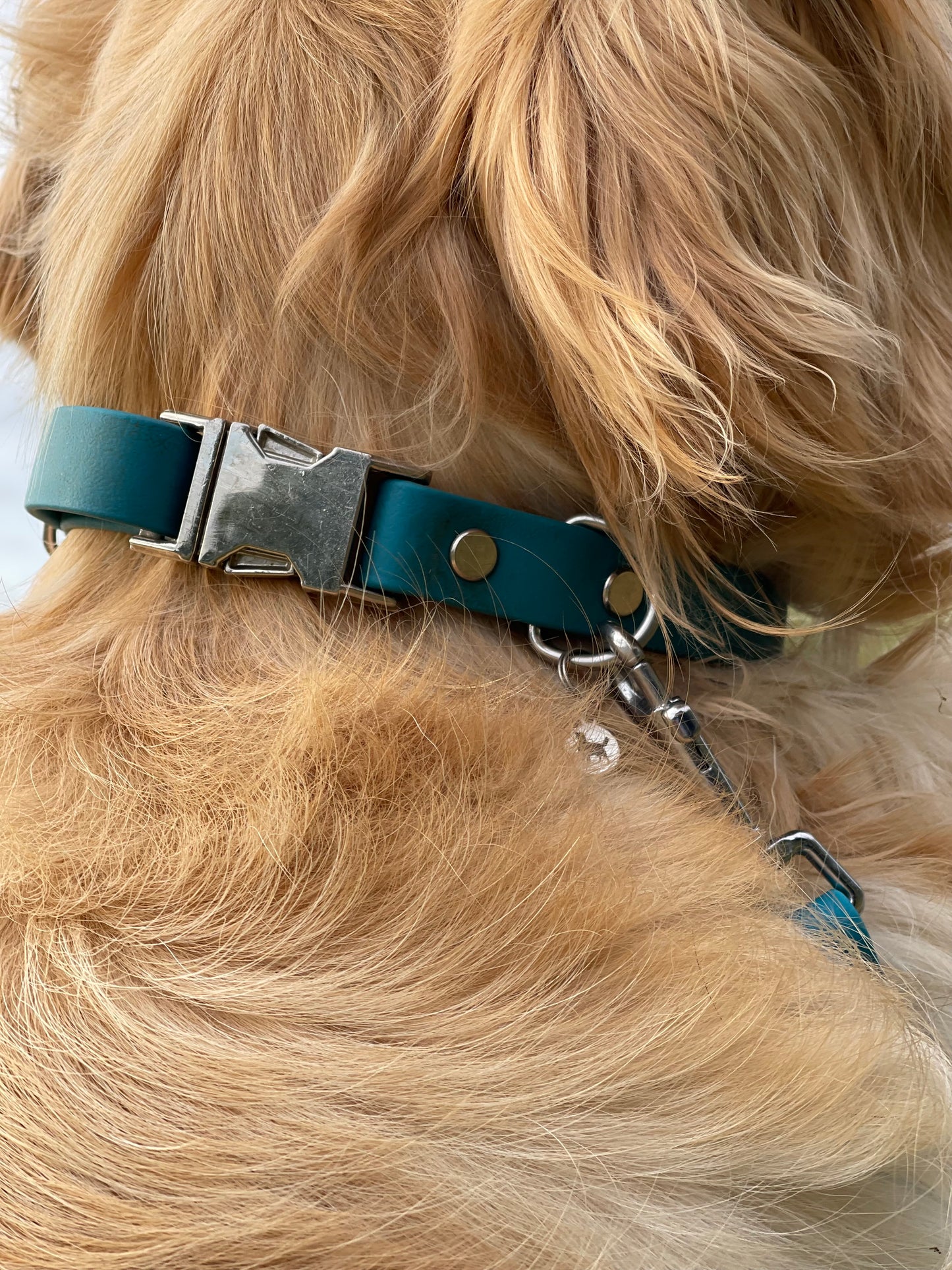 BioThane® Quick Release Collar & Standard Lead Set
