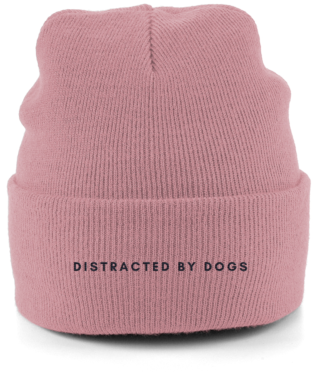 Distracted by dogs