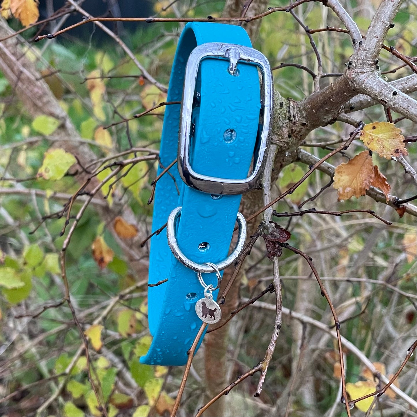 BioThane® Buckled Collar - Chrome
