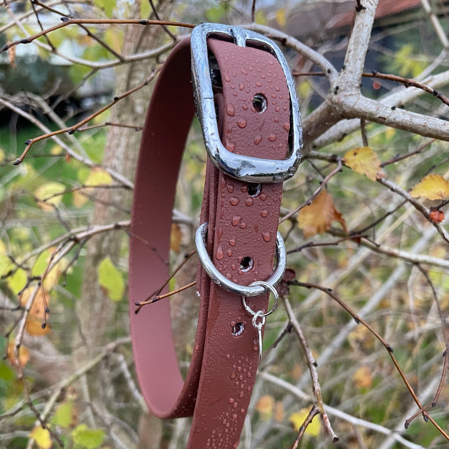 BioThane® Buckled Collar - Chrome