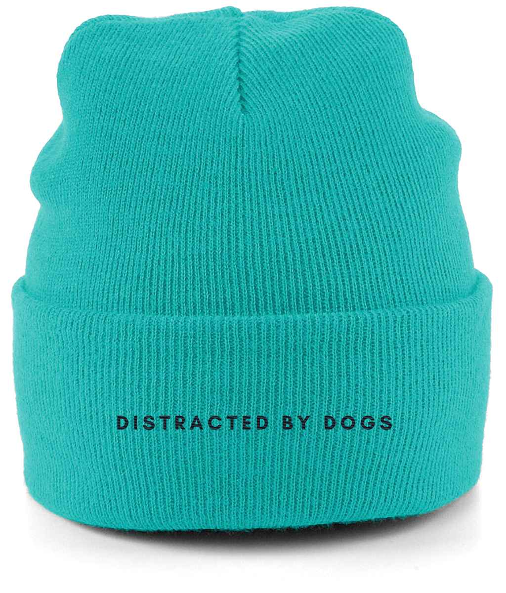 Distracted by dogs