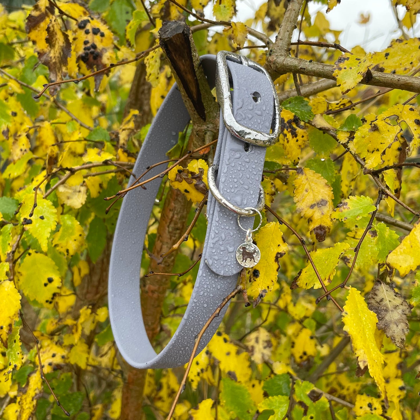 BioThane® Buckled Collar - Chrome