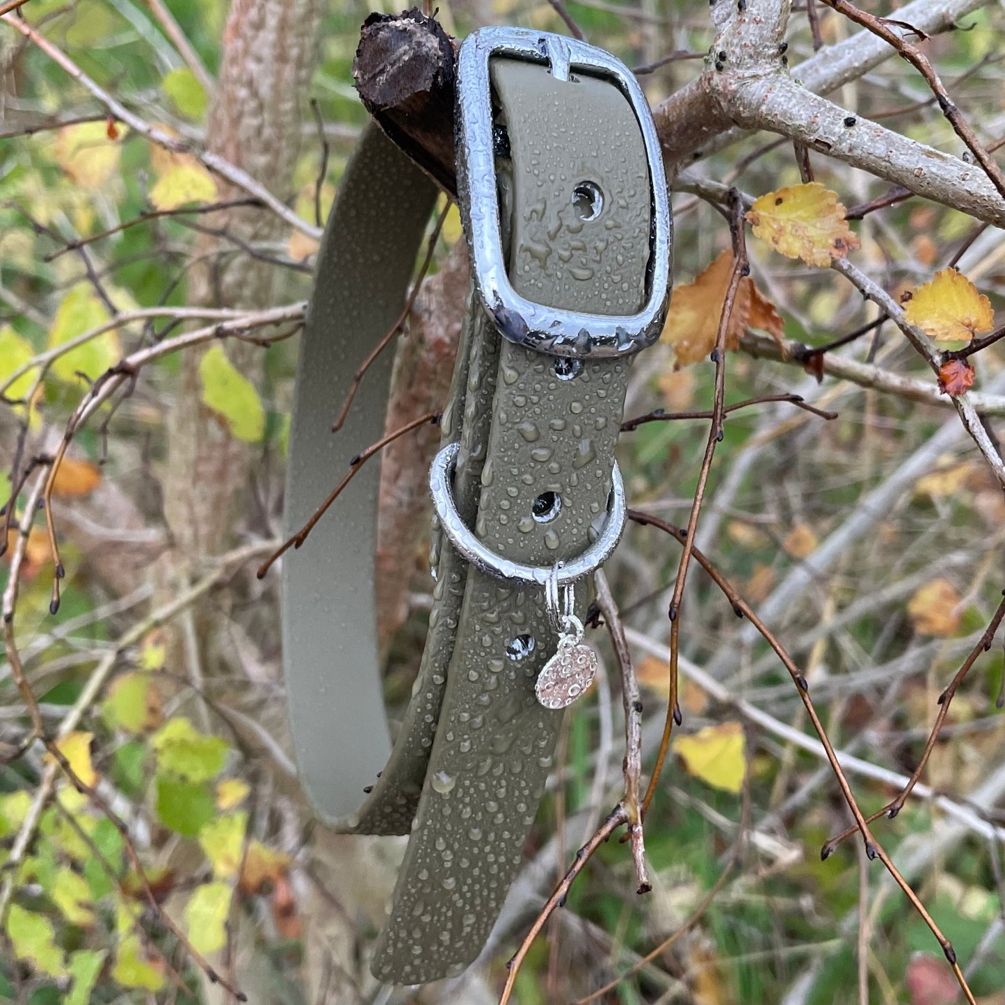 BioThane® Buckled Collar - Chrome