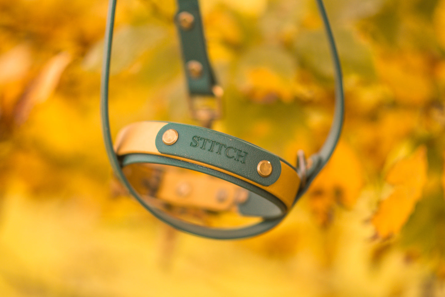BioThane® Layered Collars - Brass Hardware