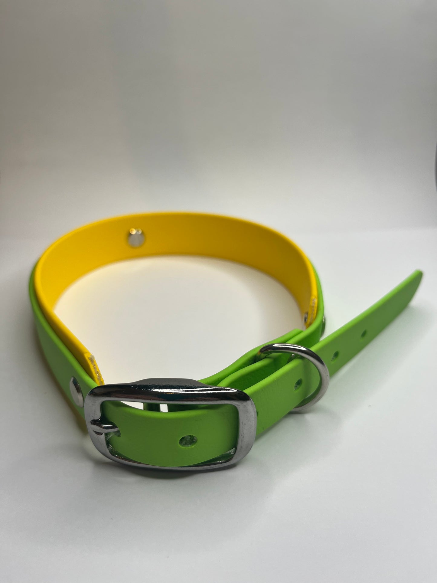 Apple Green & Sunny Yellow Collar (L 40-50cm)