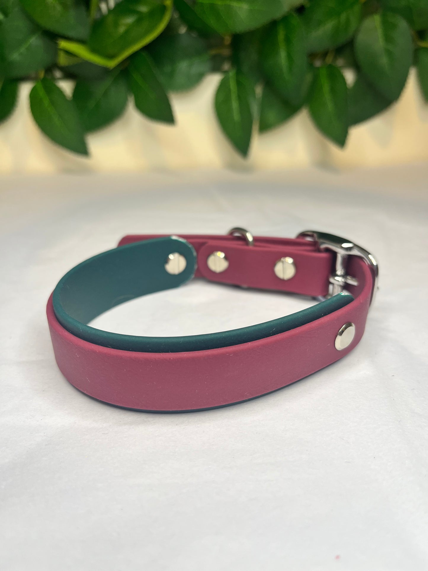 Fine Wine & Forest Green Collar (S 28-36cm)