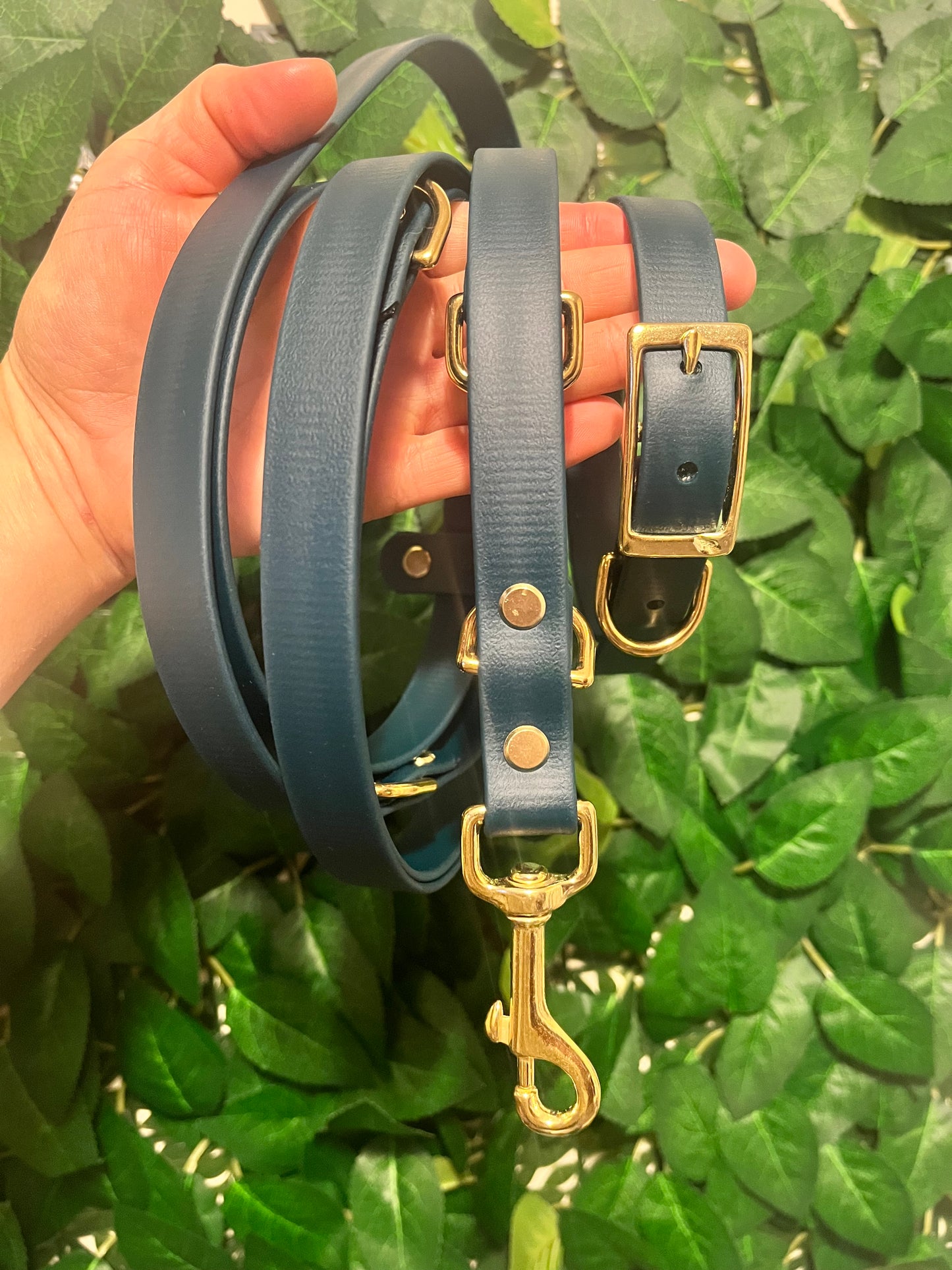 BioThane® Buckled Collar & Training Lead Set (Brass)