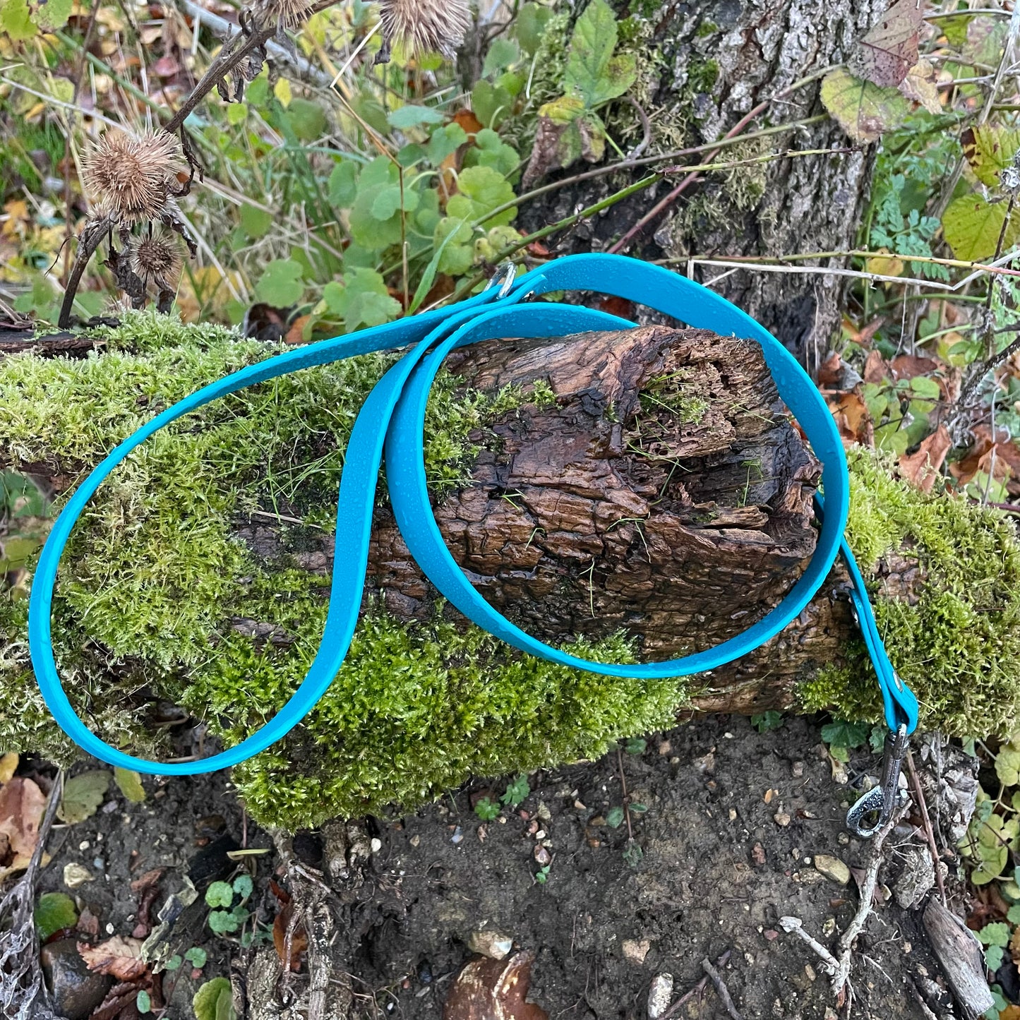 Standard 1.2m BioThane® dog lead in Blue Lagoon, featuring a durable design with a secure metal clasp for easy attachment to a collar or harness.