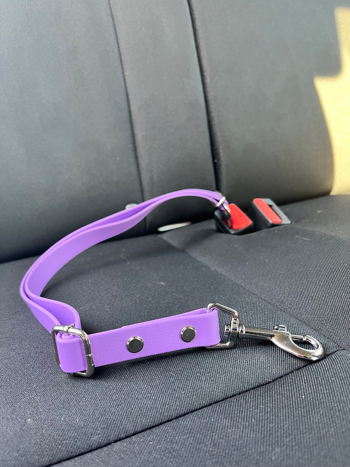 BioThane® Plug-in Seat Belt
