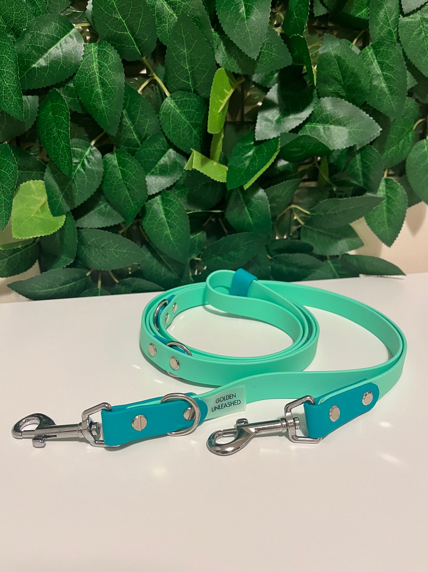 Foam and Teal Training Lead - Chrome