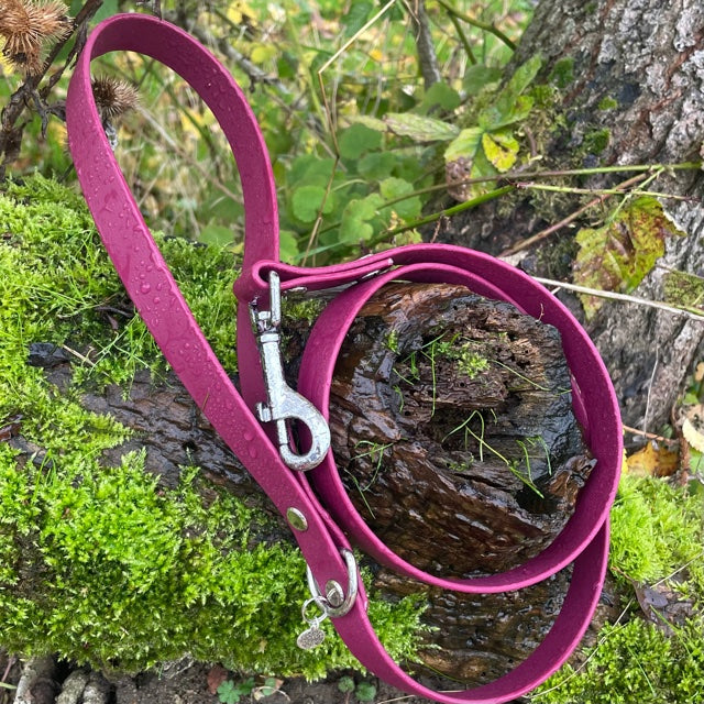 Standard 1.2m BioThane® dog lead in Fine Wine, featuring a durable design with a secure metal clasp for easy attachment to a collar or harness
