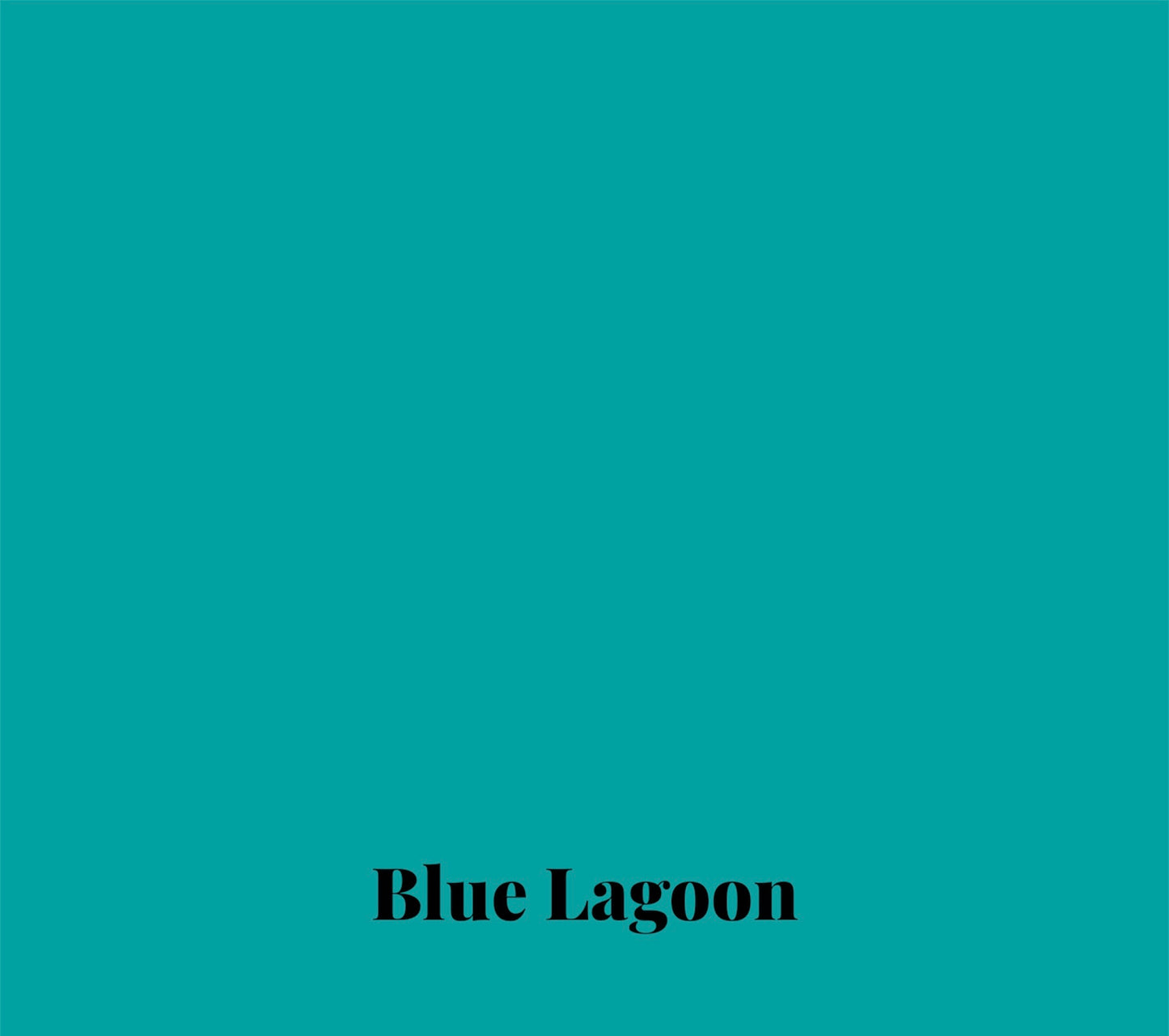 Blue Lagoon Training Lead