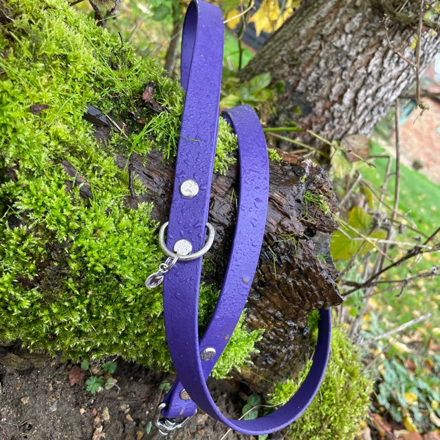 Standard 1.2m BioThane® dog lead in Grape Purple, featuring a durable design with a secure metal clasp for easy attachment to a collar or harness.