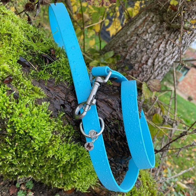 Standard 1.2m BioThane® dog lead in Teal, featuring a durable design with a secure metal clasp for easy attachment to a collar or harness.