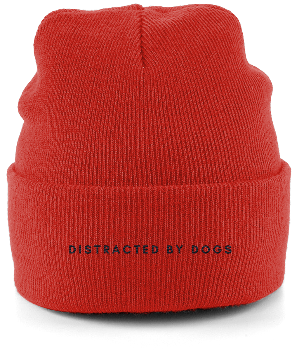 Distracted by dogs