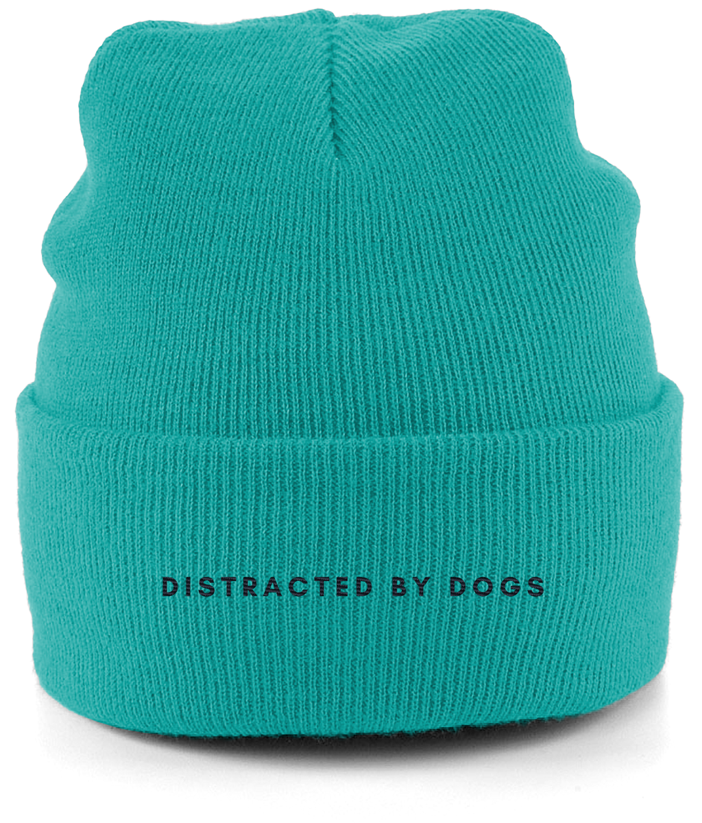 Distracted by dogs