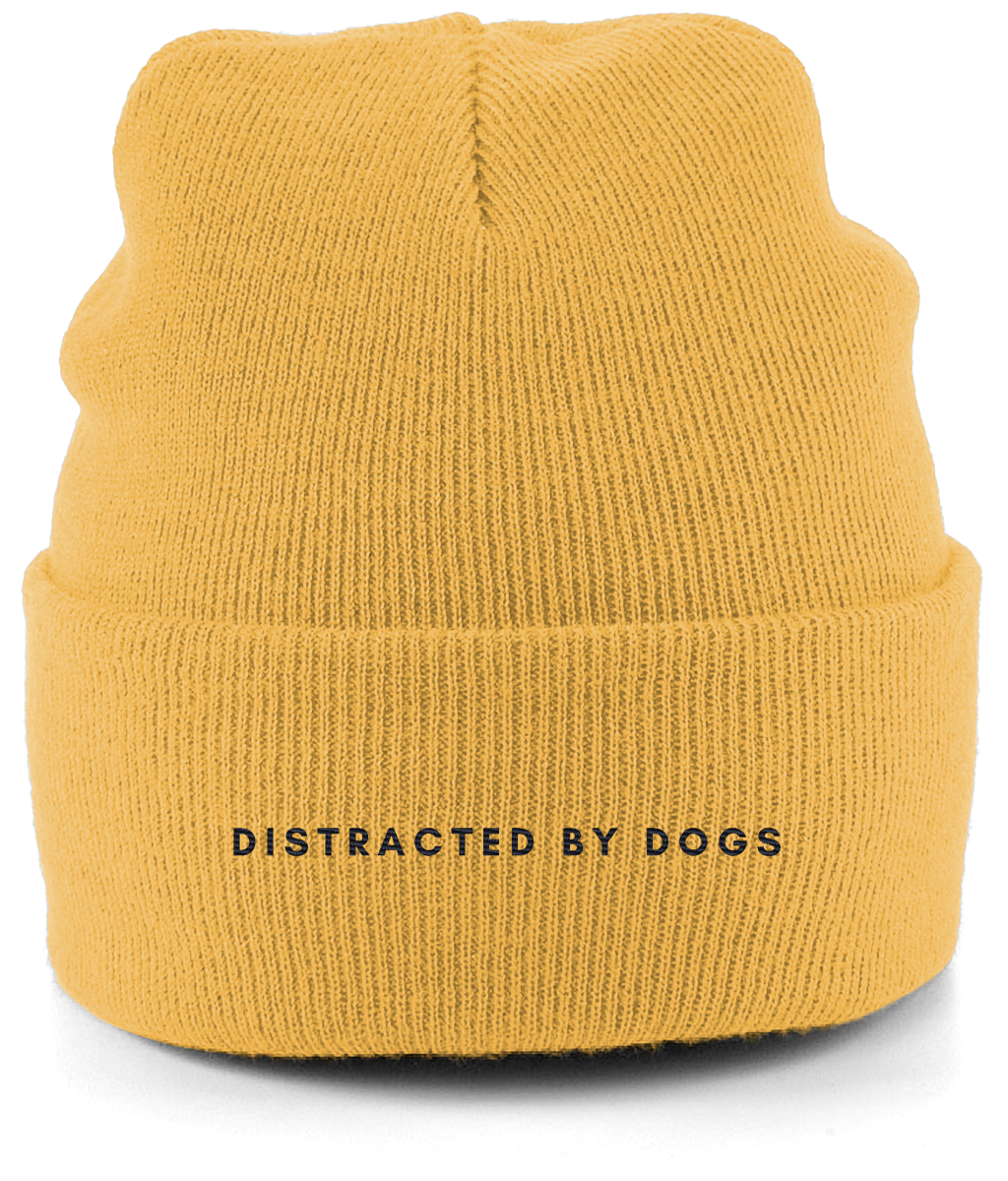 Distracted by dogs