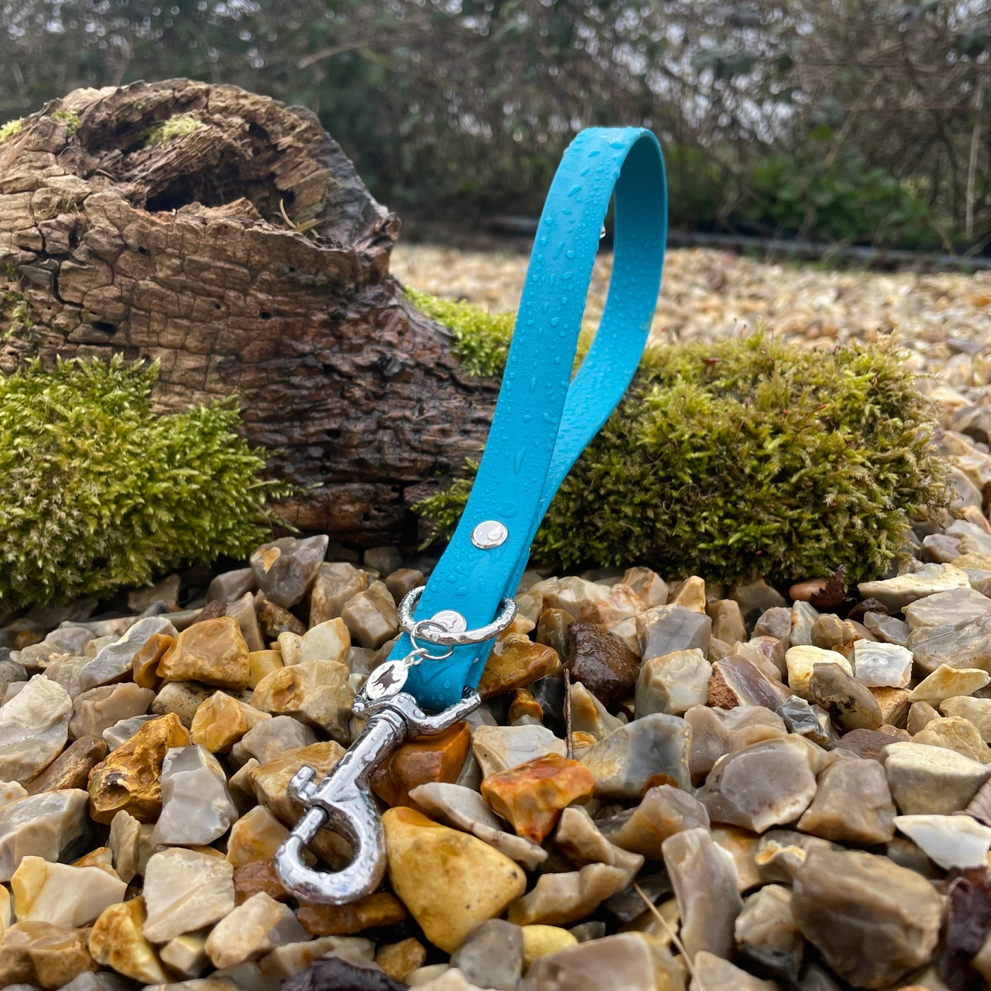 Blue Lagoon Handle.