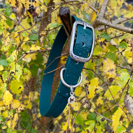 Forest Green Collar