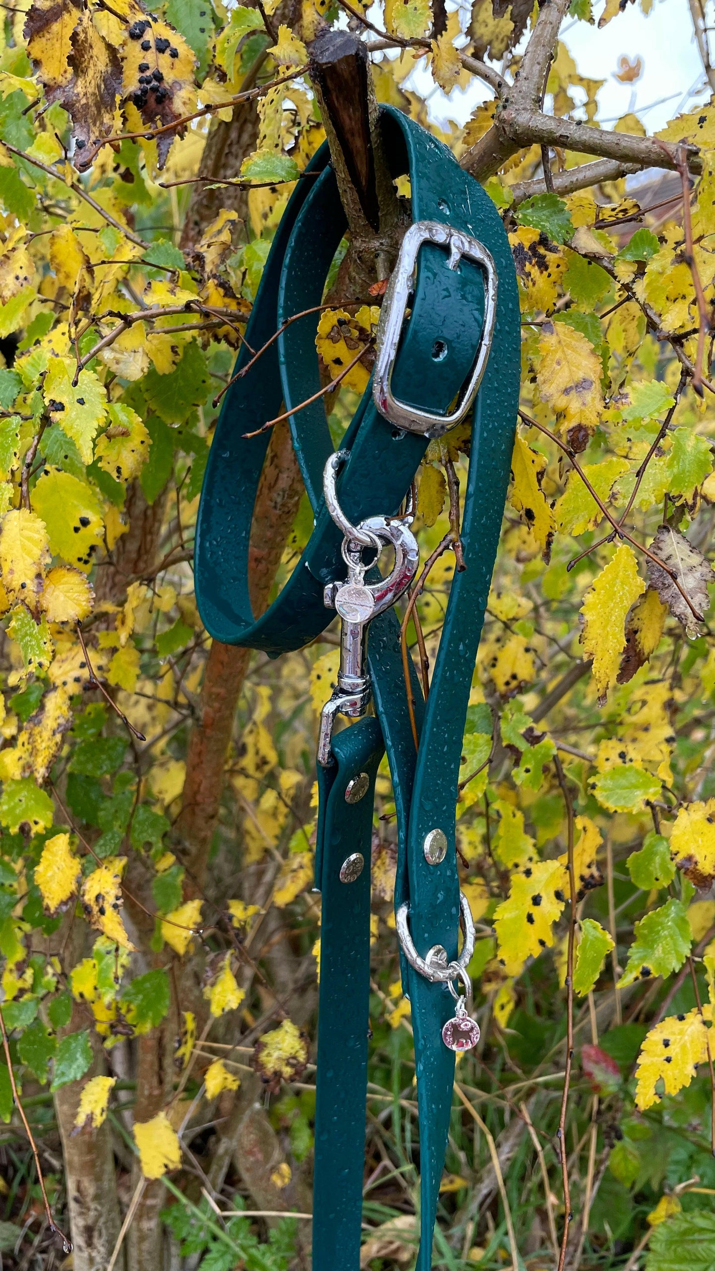 Forest Green Collar.