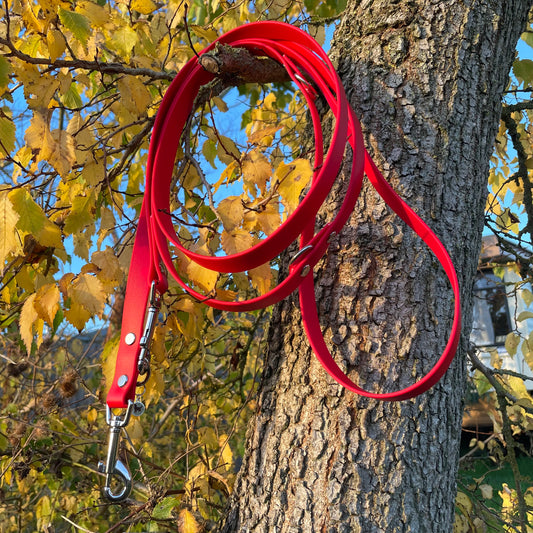 Cherry Red Training Lead