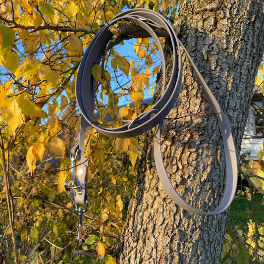 Our 2.5-metre Ash Grey BioThane® training lead, pictured on a autumnal tree