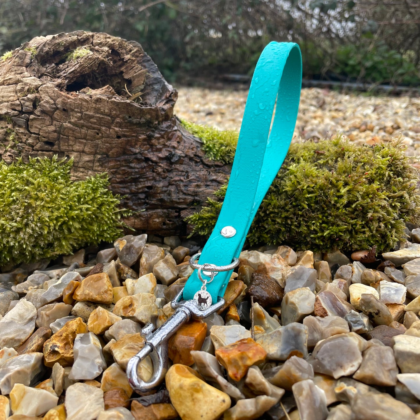 Teal Handle.