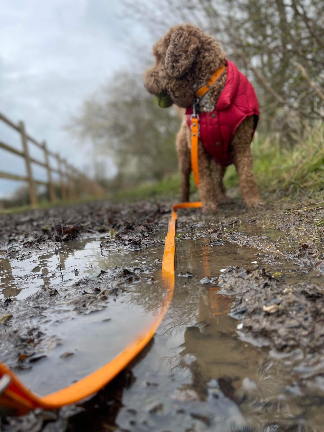 BioThane® Standard Longlines