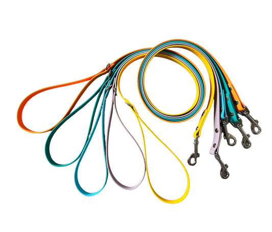 16mm BioThane leads, wrapped up together to show off the multiple colours of the leads
