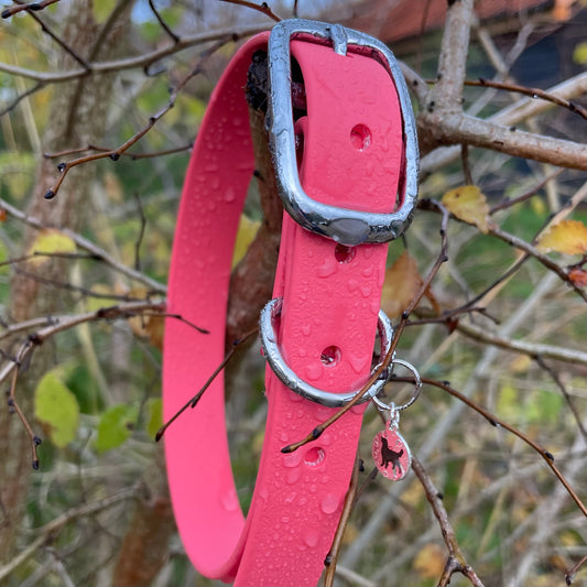 BioThane® Buckled Collar - Chrome