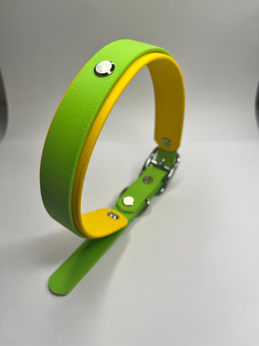Apple Green & Sunny Yellow Collar (L 40-50cm)