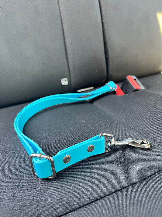 Sky Blue Seat Belt