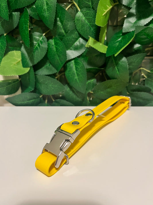 Quick Release Collar - Sunny Yellow 40-60cm