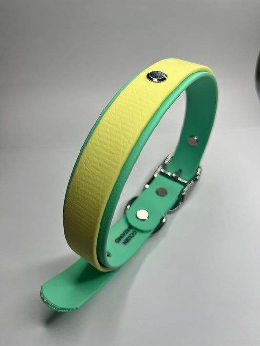 Sea Foam & Pastel Yellow Collar (L 40-50cm)