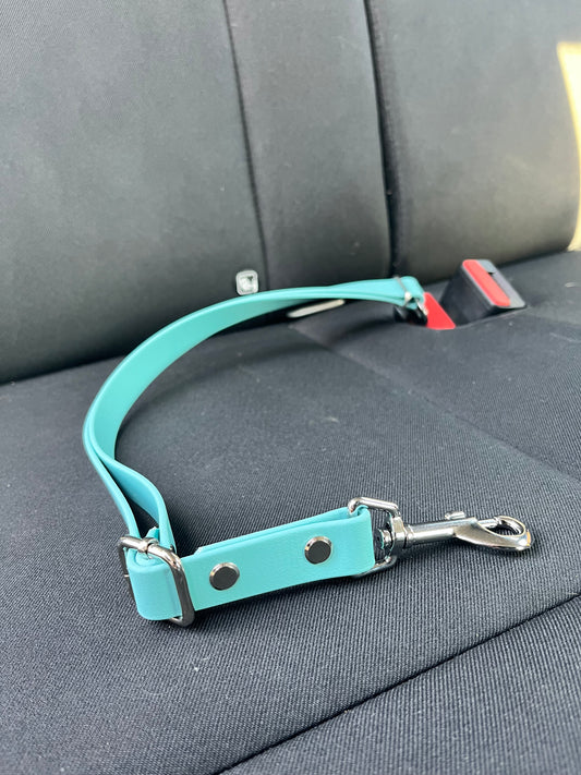 Turquoise Seat Belt