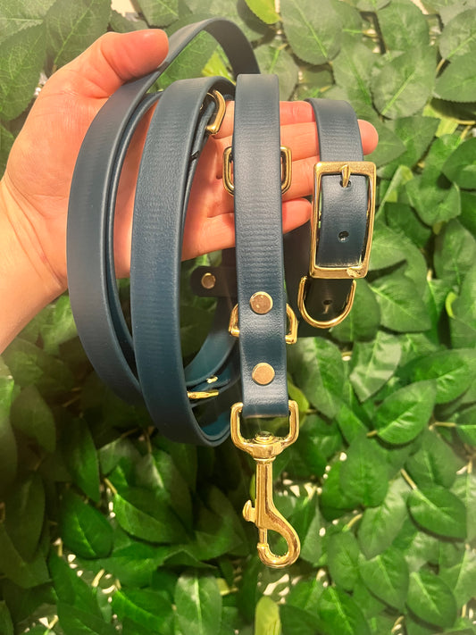 BioThane® Buckled Collar & Training Lead Set (Brass)