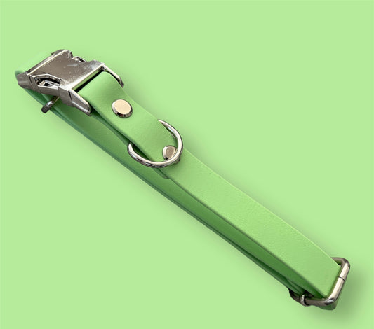 BioThane® Quick Release Collar