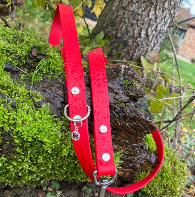 Standard 1.2m BioThane® dog lead in Cherry Red, featuring a durable design with a secure metal clasp for easy attachment to a collar or harness.