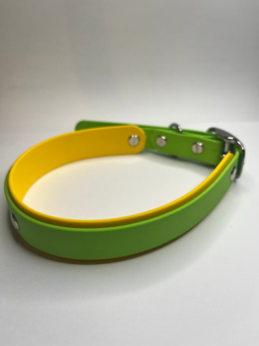 Apple Green & Sunny Yellow Collar (L 40-50cm)