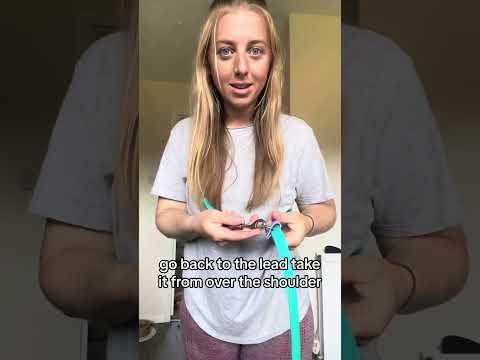 Fine Wine Training Lead