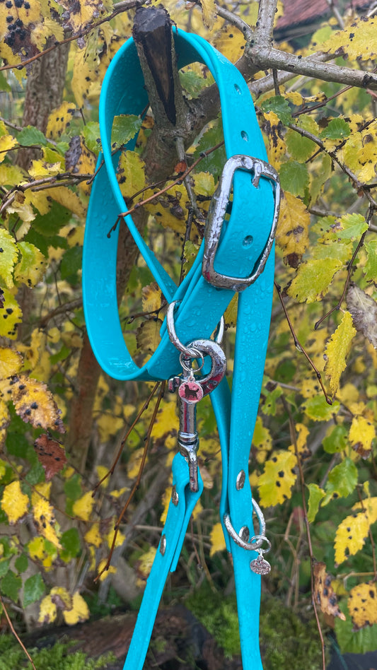 Teal Collar.