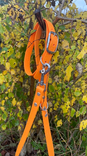 Tangy Orange Collar.