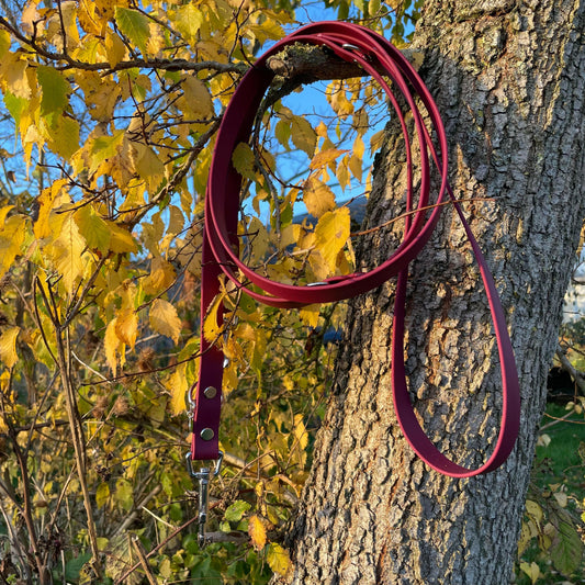 Fine Wine Training Lead.